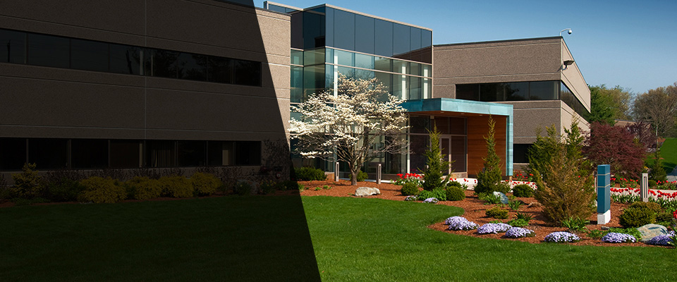 South Weymouth Landscapers