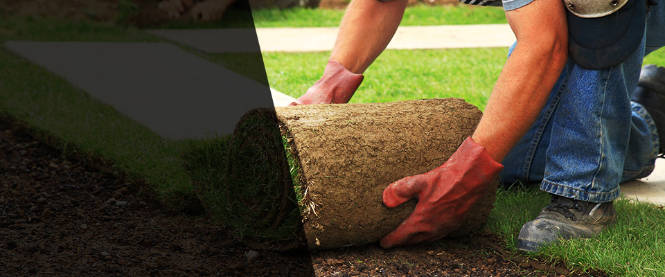 South Weymouth Landscapers